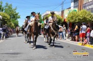 Desfile Caballos 022